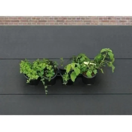 Nature Jardinera de pared - Kit con soporte y 4 maceteros (1 L) - Negro - Dimensiones A 15 x L 60 cm