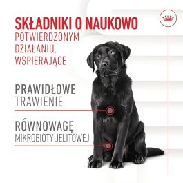 Snack para Perros Royal Canin Supplements Dog Digestion Adult 160 g Snack para Perros Royal Canin Supplements Dog Digestion Adult 160 g