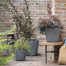 Deroma DER0191942095787 Maceta Cuadrada Origen 12 L Gris Deroma DER0191942095787 Maceta Cuadrada Origen 12 L Gris