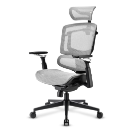 Sharkoon C50M Silla de Oficina Ergonómica, Asiento Acolchado, Respaldo de Rejilla, Reposabrazos 5D, Soporte Lumbar, Reposacabezas Ajustable Precio: 288.49999992. SKU: B1JBXWYHH6
