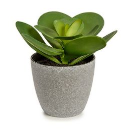 Planta Decorativa Ibergarden YC184572 Plástico 18 x 18,5 x 18 cm (6 Unidades)