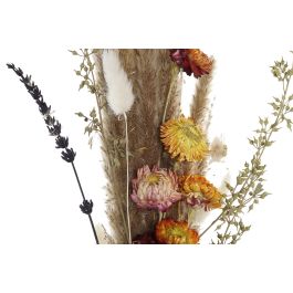 DKD Home Decor Ramo de Flor Seca Marrón, Rosa y Amarillo, 3x55x8 cm - Pack de 6 Unidades DKD Home Decor Ramo de Flor Seca Marrón, Rosa y Amarillo, 3x55x8 cm - Pack de 6 Unidades