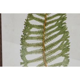 Cuadro Home ESPRIT Cristal Abeto 45 x 2,5 x 70 cm