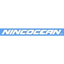 Ninco Moto de Agua Radio Control TREXX con 2 Motores, Emisora 2.4GHz y Batería 3.7V. Ideal para Niños +6 Años. 24.5x22x9 cm