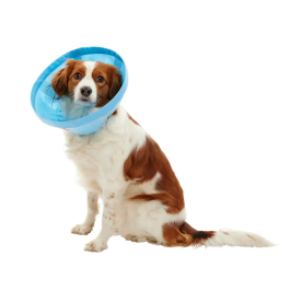 Kruuse Collar Isabelino Buster Soft Flex 10 cm 1 Unidad Precio: 13.9917019. SKU: B17S3EK748