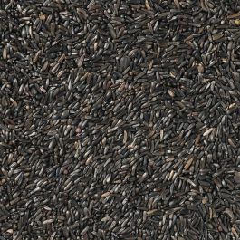 Comida para pájaros Deli Nature Premium 1 kg