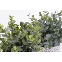 Planta Decorativa DKD Home Decor Jarrón Verde Resina PE (10,5 x 10,5 x 24 cm) (2 Unidades) Planta Decorativa DKD Home Decor Jarrón Verde Resina PE (10,5 x 10,5 x 24 cm) (2 Unidades)