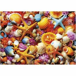 Educa Puzzle Collage de Conchas 1000 piezas 68x48 cm a partir de 12 años EDU1747759405889