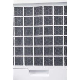 Duux Filtro Carbón Activo DXDHF01 para Bora: Elimina Humo, Olores, Formaldehído y Más