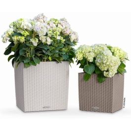 Maceta LECHUZA Cube Cottage 50 - juego completo, gris claro Maceta LECHUZA Cube Cottage 50 - juego completo, gris claro