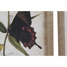 DKD Home Decor Cuadro Shabby con Mariposas de Cristal y Abeto Multicolor Beige 50x40 cm (4 Unidades)