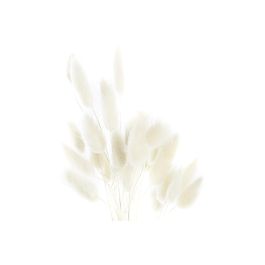 DKD Home Decor Ramo Shabby Marron Beige 20 x 55 x 20 cm (12 Unidades) Flor Seca