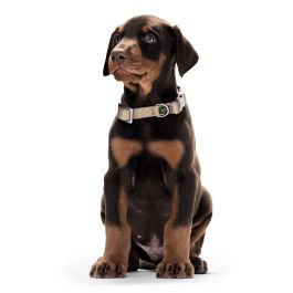 Hunter Collar Vario Basic Alu-Strong para Perro de Nylon Suave, Resistente y Ajustable, Cierre ALU-STRONG, M 30-45 cm, Rojo
