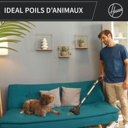 Hoover HP321PAF Aspirador de Bidón sin Bolsa, 850W, 75dBA, 2L, Gris