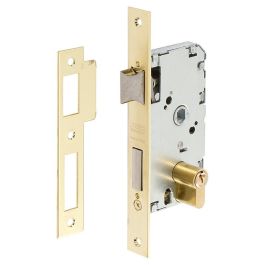 Tesa 2010P/40/Hl Cerradura de Embutir para Puertas de Madera, Distancia Ejes 47mm, Entrada 40mm, Canto Recto, Latonada, Reversible, Cilindro TE5 con 3 Llaves Precio: 37.50000056. SKU: B12NHSZH6Z