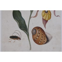 DKD Home Decor Cuadro Cottage Gris Verde Flores Cristal Abeto 50 x 70 x 2.5 cm (4 Unidades)