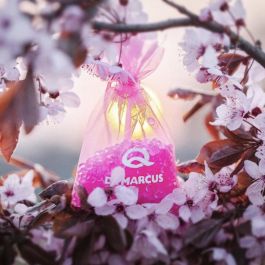 Ambientador para Coche Dr Marcus Fresh Bag Chicle Fragancia Bolsita