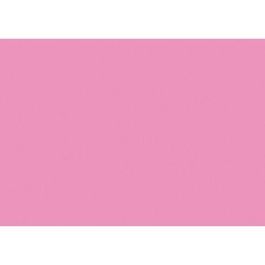 Iris Cartulina 297x420 mm 185 gr Rosa Chicle -50U- Precio: 11.99000011. SKU: B16CRV97SP