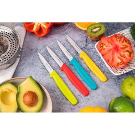 3 Claveles Cuchillo Verduras 8 cm Filo Liso/Dentado Colores Surtidos - Expositor 24 Unidades
