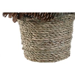 Centro Mesa Navidad Alpina DKD Home Decor Verde Natural 19 x 19 x 19 cm (4 Unidades) Centro Mesa Navidad Alpina DKD Home Decor Verde Natural 19 x 19 x 19 cm (4 Unidades)