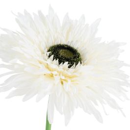 Flor Gerbera Blanco Artificial 25 X 25 X 100 cm