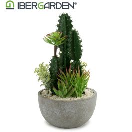 Ibergarden Centro Cactus Redondo Surtido 15.5x15.5x29 cm Plastico Ceramica