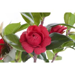 DKD Home Decor Planta Rosal Rojo Verde Pvc Eva 18x37x23 cm (4 Unidades)