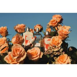 L'Occitane En Provence Rosa Crema de Manos, Cuidado Intensivo para Manos Secas con 20% Karité, Hidratante y Nutritiva 75 ml