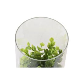 DKD Home Decor Planta Natural Marron Oscuro 12 x 18 x 12 cm (4 Unidades)