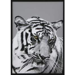 DKD Home Decor Cuadro Colonial Multicolor Negro Cristal y PS 67 x 3 x 93 cm (3 Unidades)