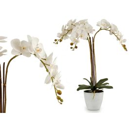 Orquidea Blanca Maceta Conic Blanca Jumb Ibergarden 40X78CM (2 Unidades) Precio: 52.5000003. SKU: B1AZF42N64