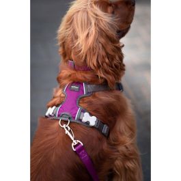 Red Dingo Arnés Acolchado para Perro XL Morado, Ajustable, Reflectante, con Anillas D y Hebillas Gemelas para Fácil Puesta, Nylon
