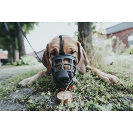 Hunter Bozal Albury 5 para Perros con Protección Anticebos Envenenados. Flexible, Plástico Resistente, Acolchado, Permite Beber y Jadear, Negro.