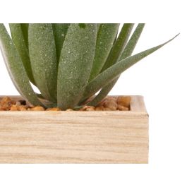 Portafoto 10X10Cm Con Planta Giftdecor (8 Unidades) Portafoto 10X10Cm Con Planta Giftdecor (8 Unidades)