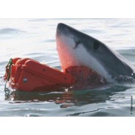 Maletín de Herramientas GT Line EXPLORER 3818 41 x 34 x 20,5 cm Metal Polipropileno