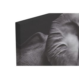 Lienzo Home ESPRIT Lienzo 120 x 3 x 80 cm