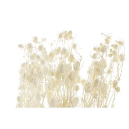 DKD Home Decor Ramo de Flor Seca Pristimera Crema, 12 Unidades, 15x65x15 cm. Pack de Bouquets Decorativos para Centro de Mesa o Jarrones de Hogar. DKD Home Decor Ramo de Flor Seca Pristimera Crema, 12 Unidades, 15x65x15 cm. Pack de Bouquets Decorativos para Centro de Mesa o Jarrones de Hogar.
