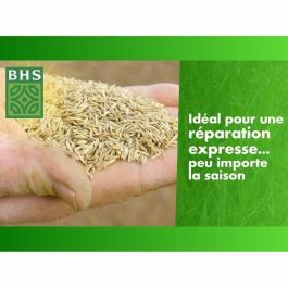 BHS 3366672020737 Regenerador de Césped 4 Estaciones 1 kg BHS 3366672020737 Regenerador de Césped 4 Estaciones 1 kg