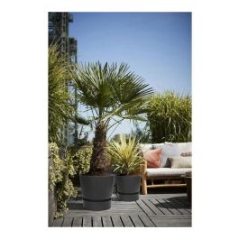 Elho Greenville 30 Maceta redonda Exterior Ø 29.5xH 27.8 cm Negro Living Plástico Reciclado, Antihielo, Depósito Agua