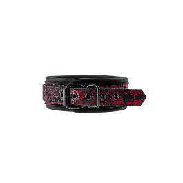 Collar con Correa Dream Toys Blaze Collar con Correa Dream Toys Blaze