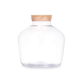 Jarron Ancho Tapon Corcho Giftdecor 24X25CM Jarron Ancho Tapon Corcho Giftdecor 24X25CM