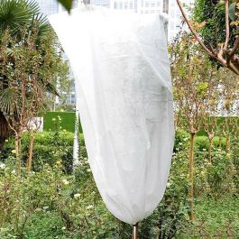 Biotop Capuchas de Protección para Plantas Ø1,5 x 1,8 m, 2 Unidades con Tratamiento UV