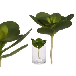 Planta Hoja Redonda Ibergarden 18X23CM (18 Unidades) Precio: 65.49999951. SKU: B1EBAMAVT2