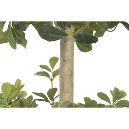DKD Home Decor Árbol Ficus Verde Blanco 70x140x70 cm 2 Unidades