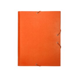 Liderpapel Carpeta Clasificadora Folio Prolongado Cartón Forrado Naranja 12 Departamentos
