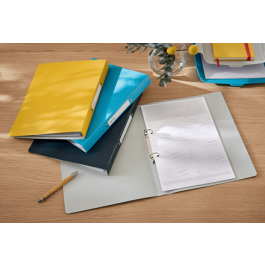 Leitz 42380019 Carpeta 2 Anillas Active Cosy, A4, Polipropileno, Amarillo