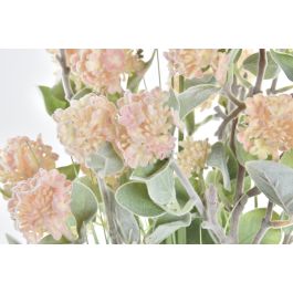 Planta DKD Home Decor Rosa Palo Rosa 20 x 78 x 20 cm (2 Unidades) Planta DKD Home Decor Rosa Palo Rosa 20 x 78 x 20 cm (2 Unidades)