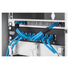 Digitus Carcasa Mural Compact 6HE 254mm 10" con Puerta de Vidrio Gris