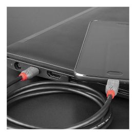 Lindy Cable USB 2.0 Tipo C a Micro-B 0.5m Anthra Line