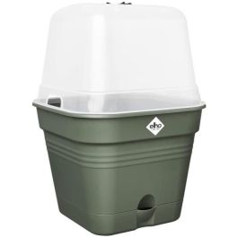 Pot de flores cuadradas básicas verdes - plástico - tanque - Ø20 - verde hoja Precio: 27.50000033. SKU: B17SPTCNR7